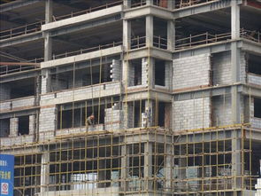 九宮格專注中小企業(yè)網(wǎng)絡(luò)營(yíng)銷 助力高新區(qū)成城建材公司開拓互聯(lián)網(wǎng)藍(lán)海